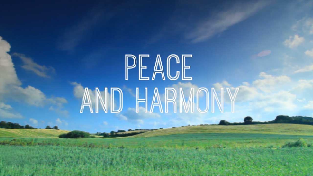 essay on importance of peace and harmony