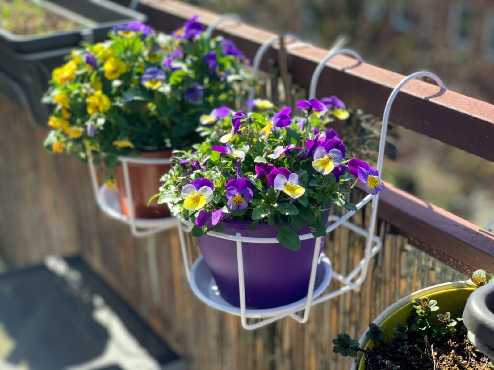 Balcony Planter Ideas – Containers For Balcony Gardens - IMP WORLD