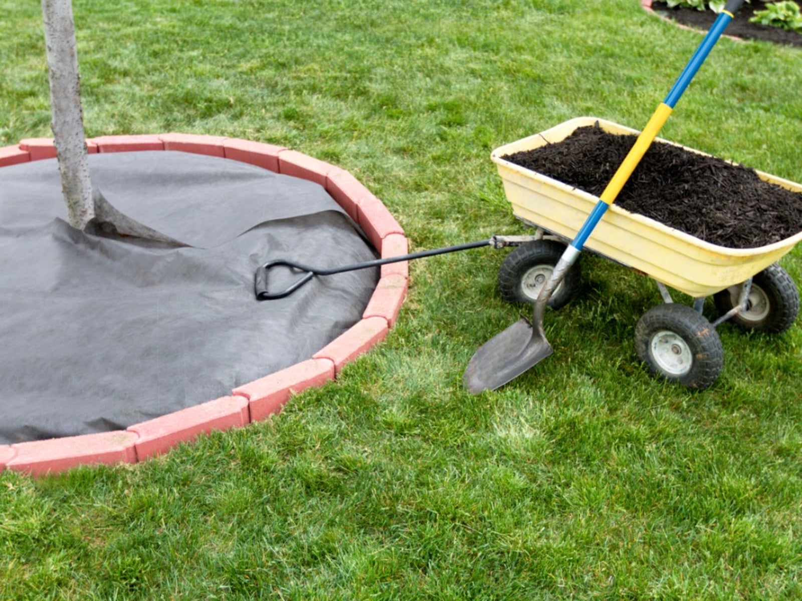 What Is A Weed Barrier Tips On How To Use Weed Barrier In The Garden IMP WORLD