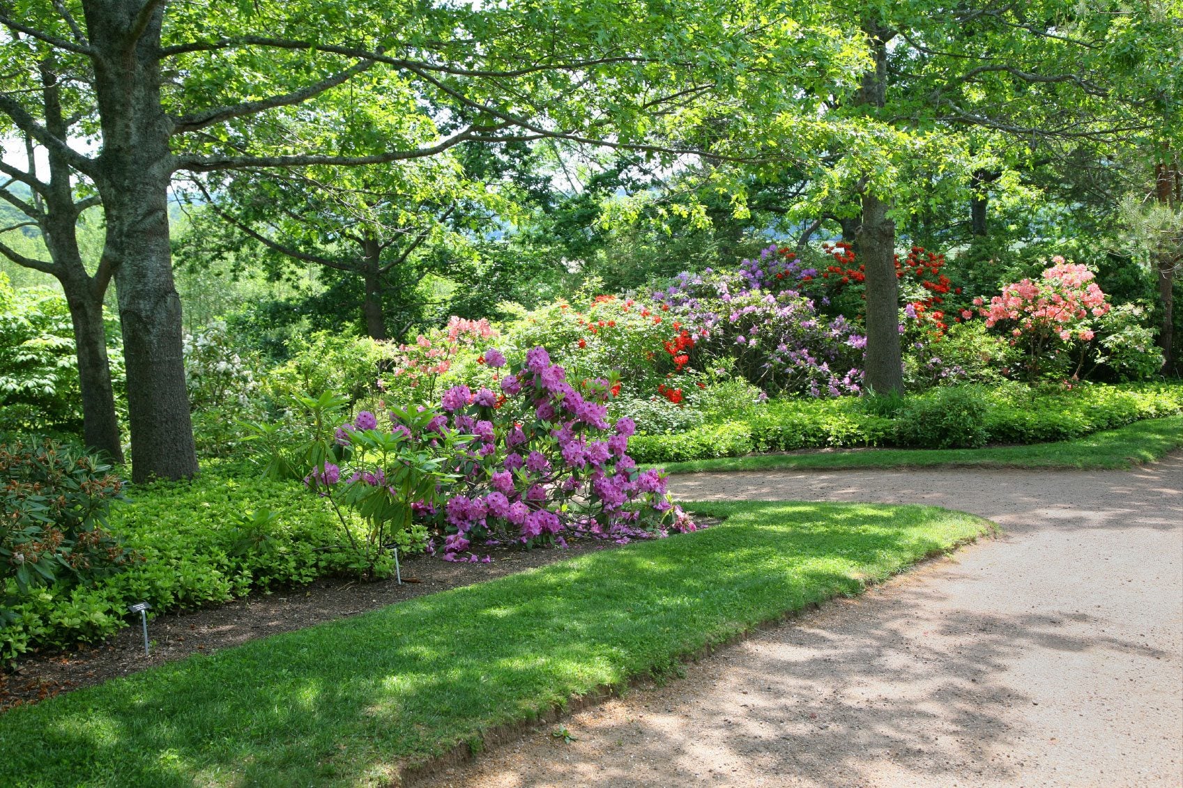 Neighborhood With Trees Plants And Flowers