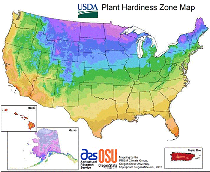 Hawaii Planting Zones – USDA Map Of Hawaii Growing Zones - IMP WORLD