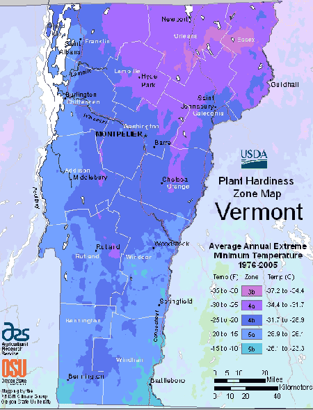 Vermont Planting Zones – USDA Map Of Vermont Growing Zones - IMP WORLD