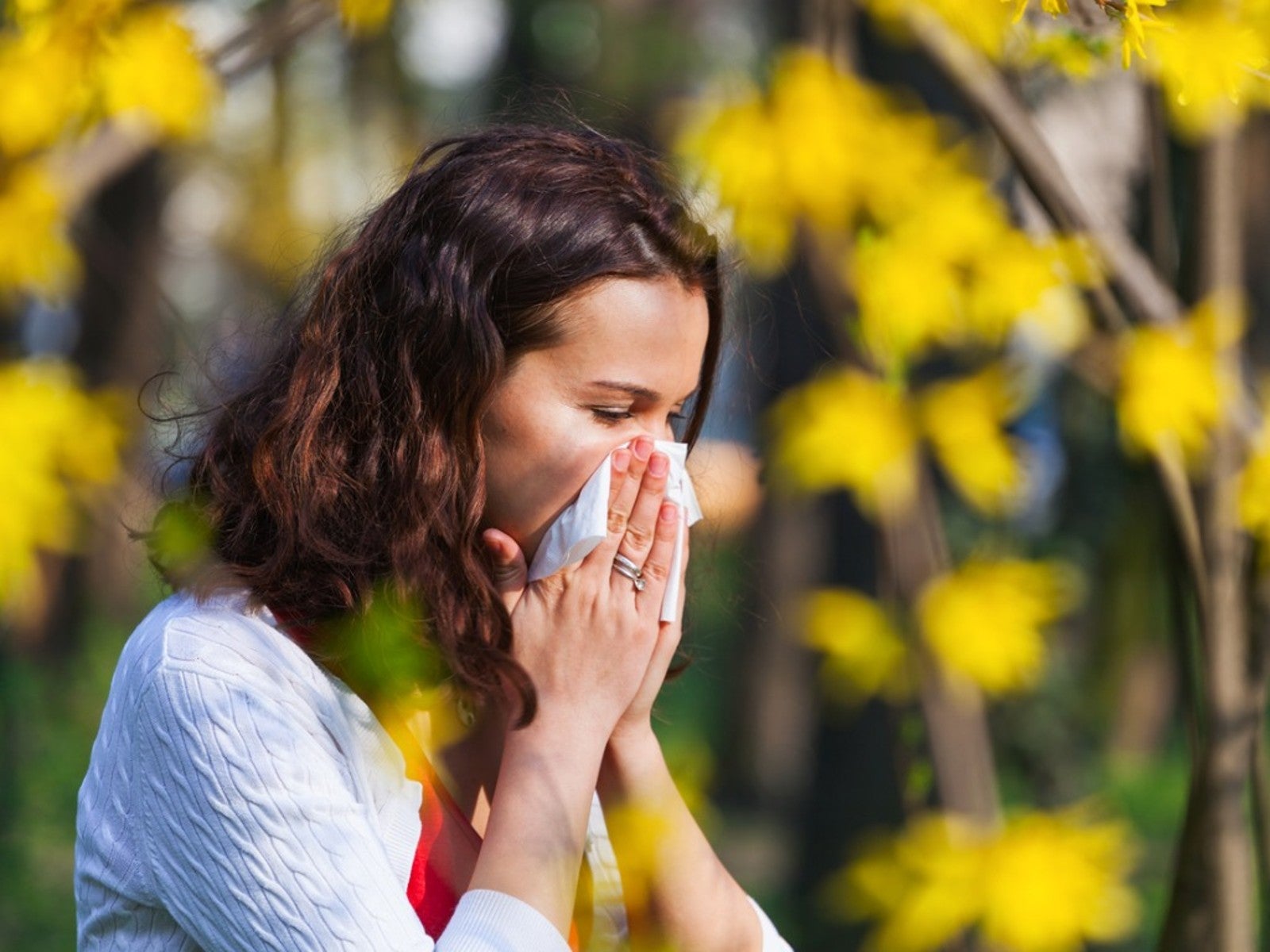 Worst Plants For Allergies IMP WORLD